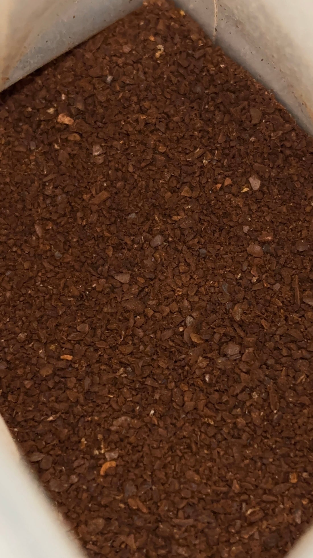 PWC Adventure Guide: Amazing Uses for Coffee Grounds After Brewing
