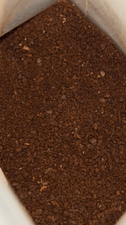 PWC Adventure Guide: Amazing Uses for Coffee Grounds After Brewing